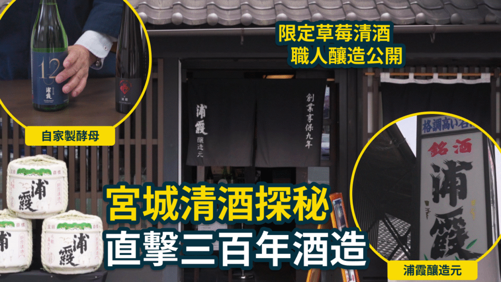浦霞醸造元
