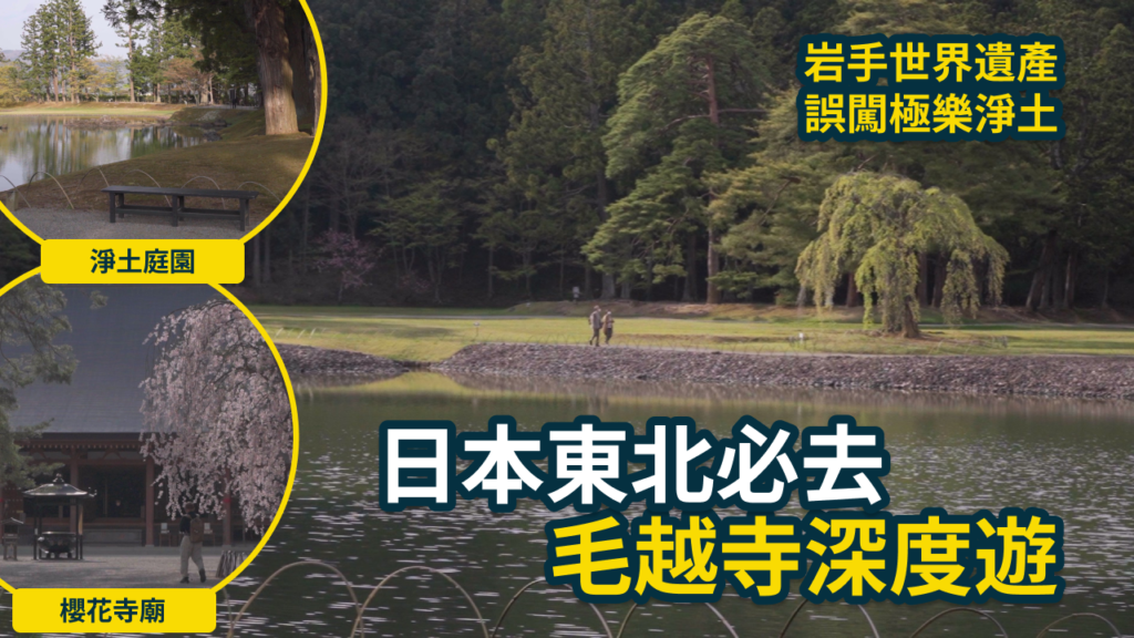 【岩手平泉】走進世界遺產毛越寺!探訪平安時代的極樂淨土庭園,揭開白鹿與藥師如來的神秘傳說,日本東北自由行深度遊必看 1 毛越寺