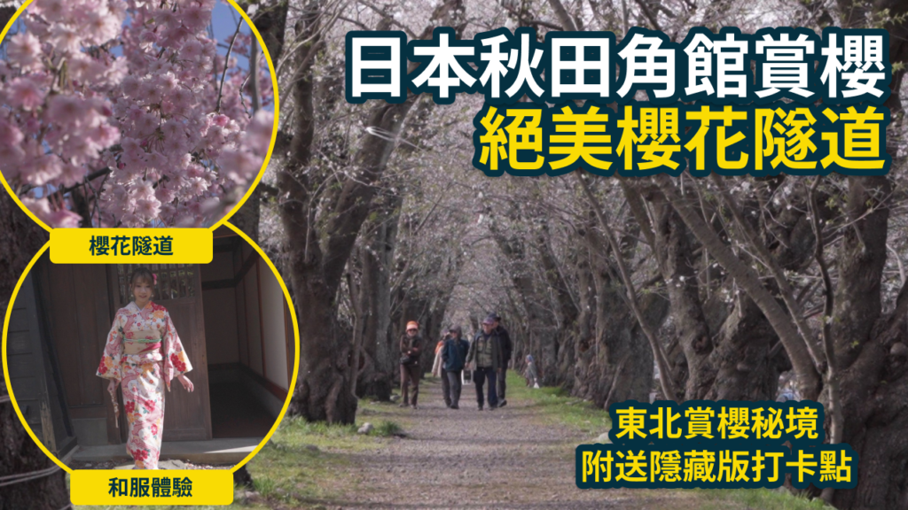 日本東北自由行|秋田角館賞櫻攻略:穿和服走進陸奧小京都,尋找絕美櫻花隧道與隱藏版粉紅櫻花! 2 角館町 1